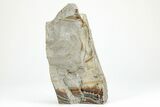 Dendrites On Limestone - Utah #207806-1